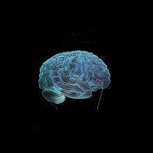 Load image into Gallery viewer, Creative Brain House Decor 3D Lamp